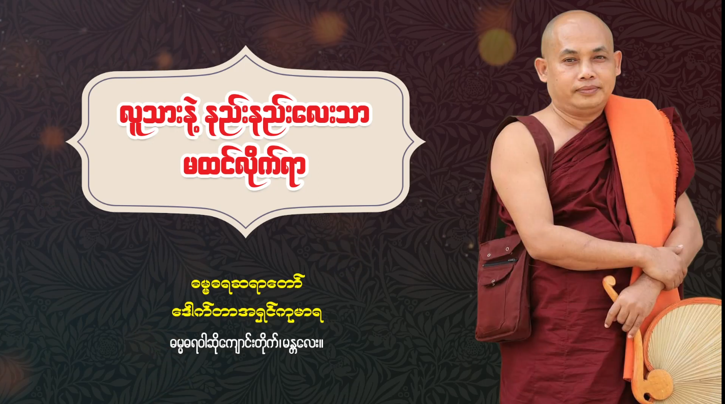 လူသားနဲ့ နည်းနည်းလေးသာ မထင်လိုက်ရာ မျက်နှာဖုံး